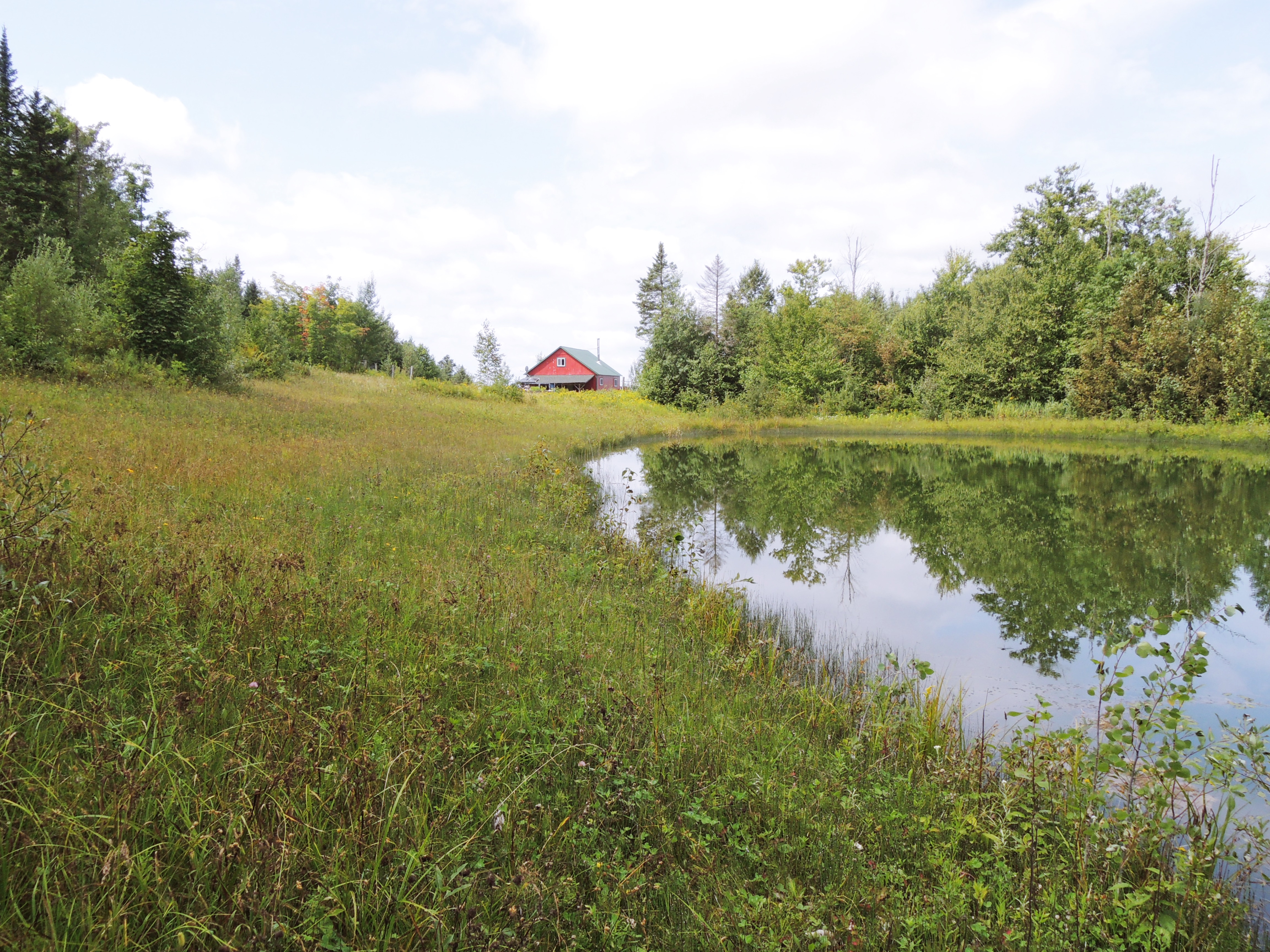 Holland, VT CENTURY 21 Farm & Forest